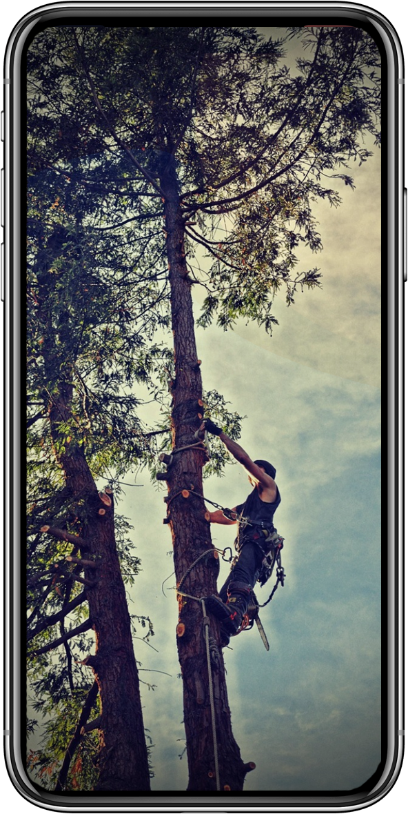 iPhone Feature 04